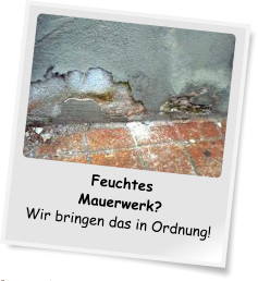 Feuchtigkeit, Schimmel und Co.