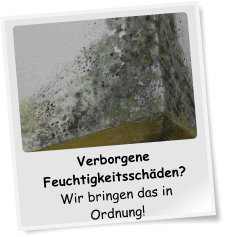 Feuchtigkeit, Schimmel und Co.