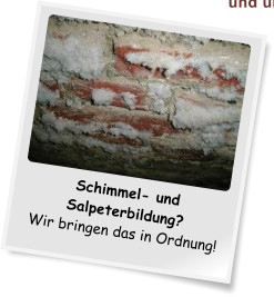 Feuchtigkeit, Schimmel und Co.